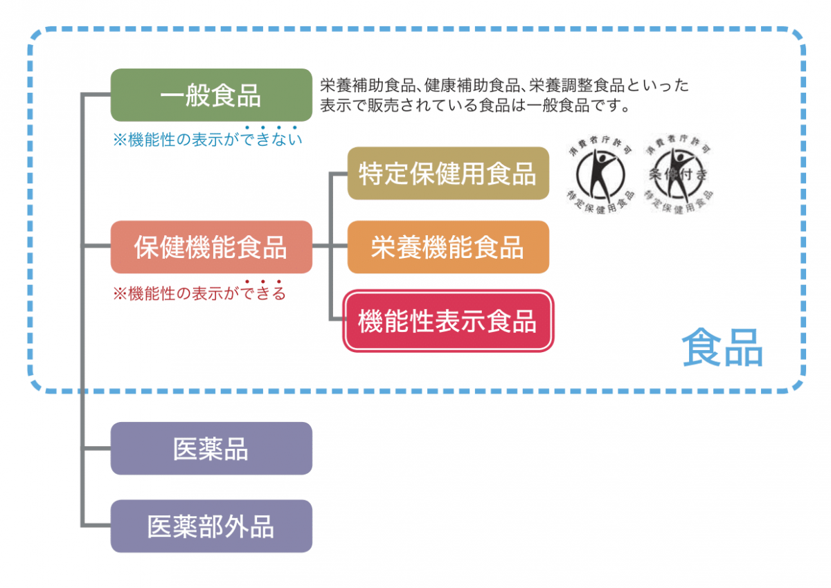 機能性表示食品は健康食品・トクホとどう違う？｜管理栄養士執筆 |イマカラ